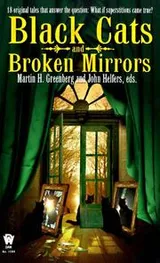 Cover of Black cats and broken mirrors