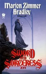 Cover of Sword and Sorceress XVI