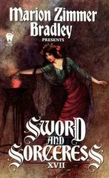 Cover of Sword and Sorceress XVII