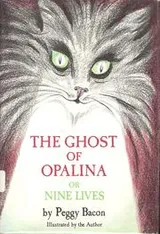 Cover of The Ghost of Opalina