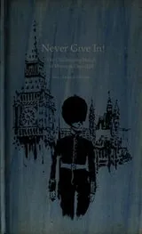 Cover of Never Give In!
