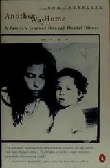 Cover of The South
