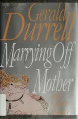 Cover of Marrying off mother and other stories