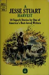Cover of A Jesse Stuart harvest
