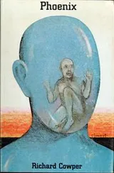 Cover of Phoenix