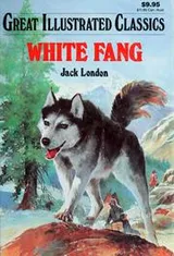 Cover of White Fang