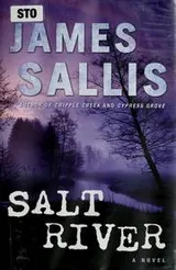 Cover of Salt River