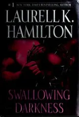 Cover of Swallowing Darkness