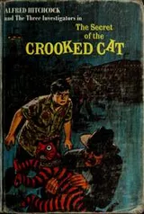 Cover of The Secret of the Crooked Cat