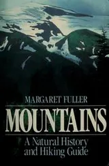 Cover of Mountains