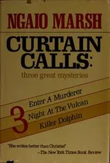 Cover of Curtain calls
