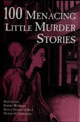 Cover of 100 menacing little murder stories