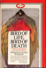 Cover of Bird of Life, Bird of Death