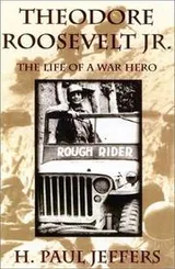 Cover of Theodore Roosevelt Jr