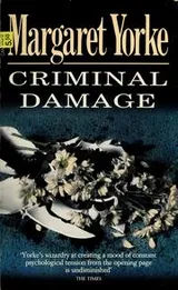 Cover of Criminal damage