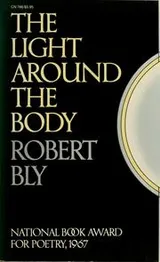 Cover of The light around the body