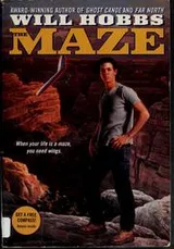 Cover of The maze