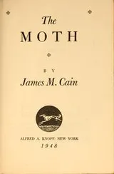 Cover of The moth