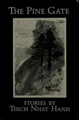 Cover of The pine gate