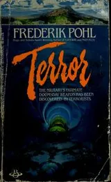 Cover of Terror