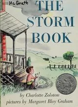 Cover of The storm book
