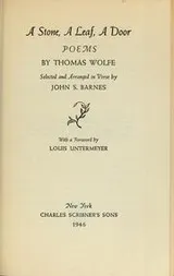 Cover of A stone, a leaf, a door
