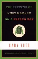 Cover of The effects of Knut Hamsun on a Fresno boy