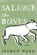 Cover of Salvage the Bones