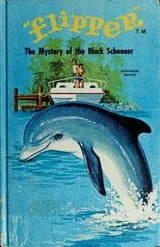 Cover of Flipper