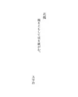 Cover of 花燭