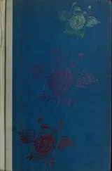 Cover of Mr. Smith & other nonsense