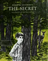 Cover of The secret