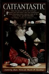 Cover of Catfantastic