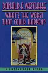 Cover of What's the worst that could happen?
