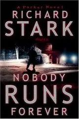 Cover of Nobody runs forever