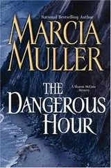 Cover of The dangerous hour