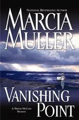 Cover of Vanishing point