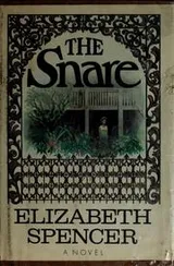 Cover of The snare;
