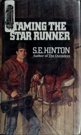 Cover of Taming the Star Runner