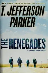 Cover of The renegades