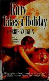 Cover of Kitty takes a holiday