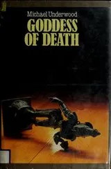 Cover of Goddess of death