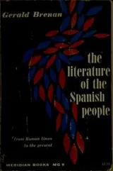 Cover of The literature of the Spanish people