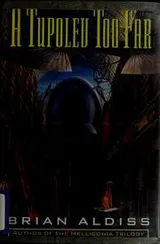 Cover of A Tupolev too far