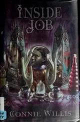 Cover of Inside job