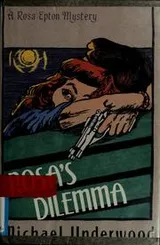 Cover of Rosa's dilemma