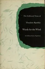 Cover of Words for the wind