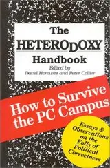 Cover of The Heterodoxy handbook