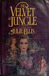 Cover of The velvet jungle