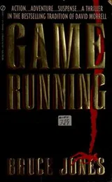 Cover of Game running